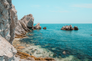pical-island-surrounded-by-clear-water-sunny-day