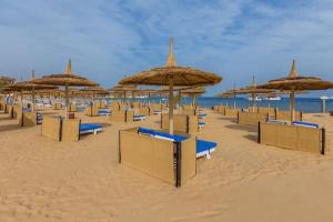 albatros-white-1 albatros-white-1